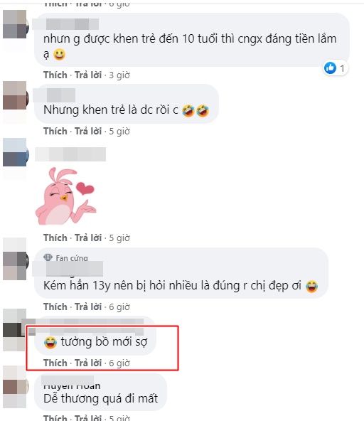 Lưu Hương Giang bị hiểu nhầm là bồ nhí Hồ Hoài Anh-3